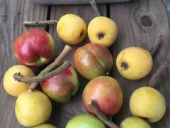 -苏州香山国际大酒店