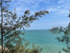 -广东惠东海龟国家级自然保护区