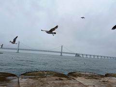-星海广场