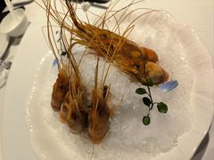 -南麓·浙里(外滩店)
