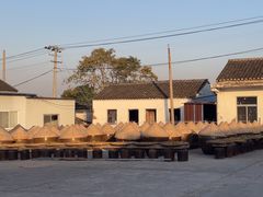 -苏州市吴中区光福窑上花果蜜饯厂