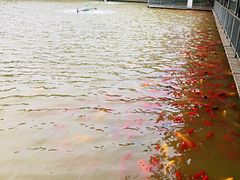 -泰安地下龙宫景区