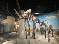 -国家自然博物馆