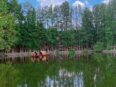 -黄陂区野村谷景区