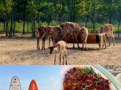 -巧克力渔家.小船海鲜胶东菜(万平口店)