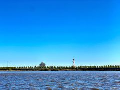 -呼兰河口湿地公园