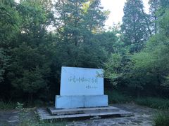 -白水寺森林公园