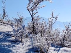 -塞罕坝国家级自然保护区