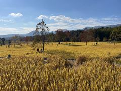 -塔川景区