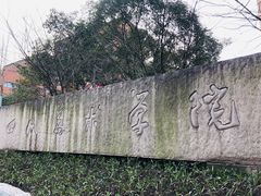 -黄桷坪涂鸦艺术街