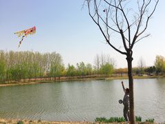 -东郊湿地公园