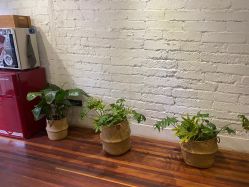 -極致刺青TATTOO STUDIO 私人订制