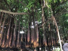 -胡里山炮台