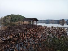 -上海市保健医疗中心