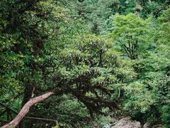 -龙苍沟森林公园