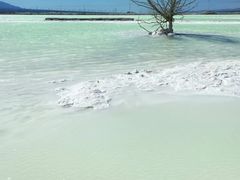 -盐湖景区