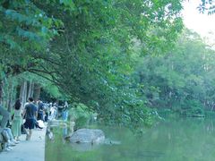 -深圳仙湖植物园