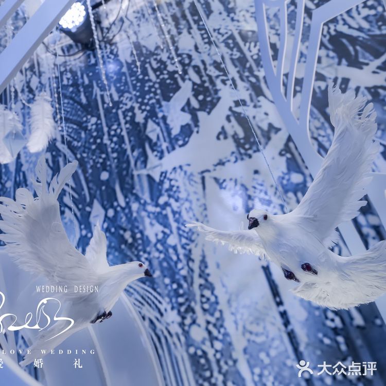 大爱婚礼[强][强][强]