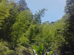 -紫金山天文台