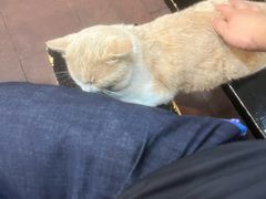 -储奇门鳝鱼火锅(总店)