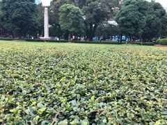 -广州中山纪念堂