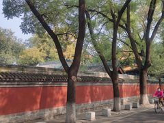 -北京国子监胡同
