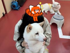 -和它·交个朋友·狗咖猫咖(爱琴海店)