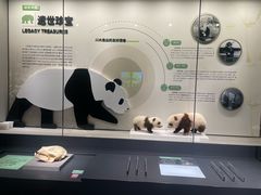 -四川大学博物馆