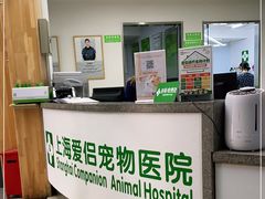 -爱侣宠医·鹦鹉专科·小型哺乳类·异宠专科(灵石路店)