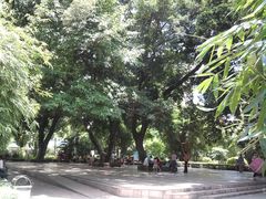 SNC00820-晓港公园
