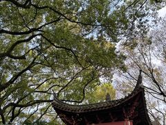-天一阁博物院