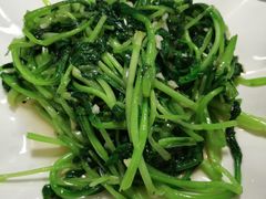 -文三里屯面馆(三里屯店)