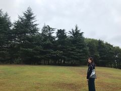 -双东酒店(东关街店)