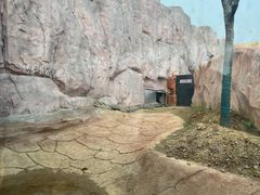 -武汉动物园