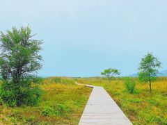 -野鸭湖国家湿地公园