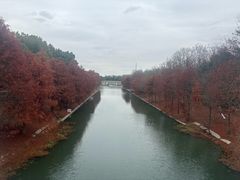 -上海海湾国家森林公园