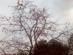 -井塘古村