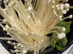 -渡娘火锅(大兴大悦春风里店)