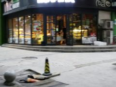 -卡萨米亚动物奶油生日蛋糕(牡丹城店)