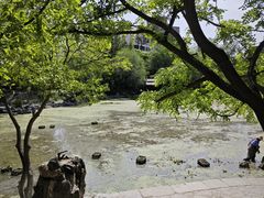 -莲湖公园