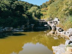 -北京西山国家森林公园