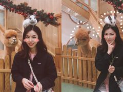 -藦茜花园宠物主题亲子互动体验馆(国顺东路店)