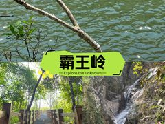 -霸王岭国家森林公园