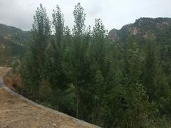 android_upload_pic-天景山漂流