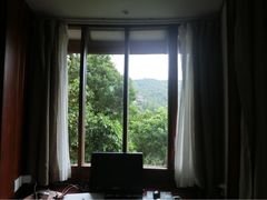 亚龙湾人间天堂-鸟巢度假村-三亚亚龙湾人间天堂鸟巢度假村