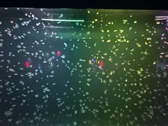 -太平洋海底世界