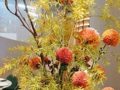 -大儒小厨·苏浙菜(瑞虹太阳宫店)