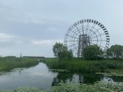 -太湖湖滨国家湿地公园-停车场