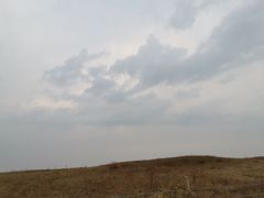 -御道口草原森林风景区