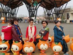 -上海长兴岛郊野公园